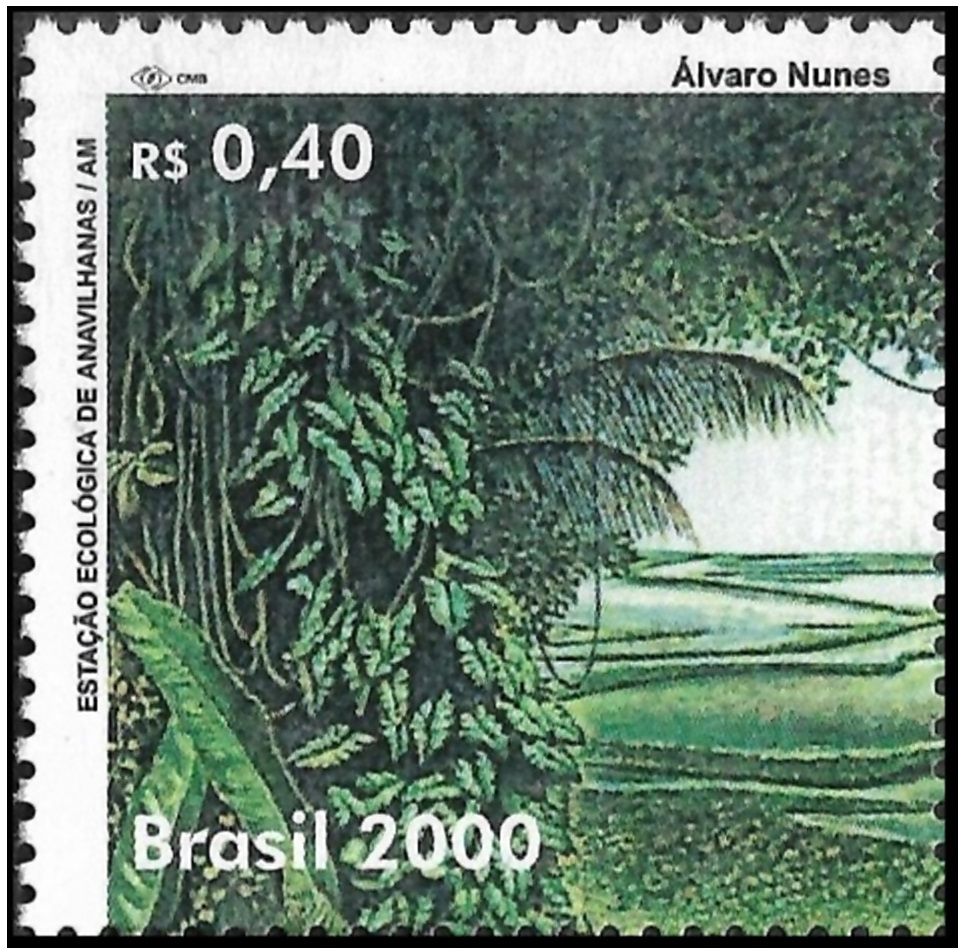 2000C18.1