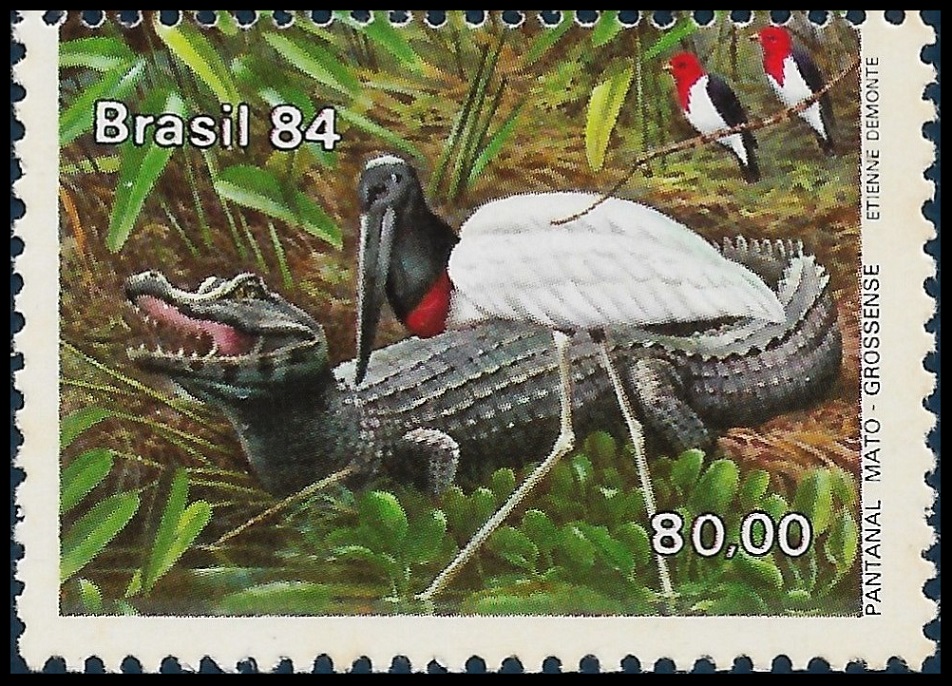 1984C13.3