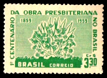 1959C15.1